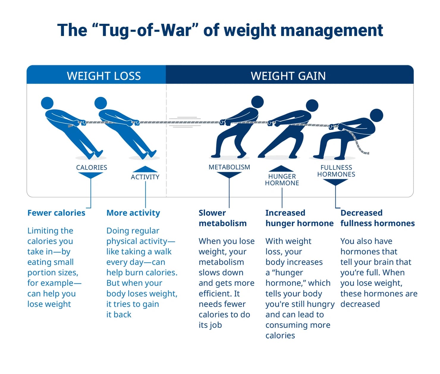 Tug of war illustrating the effort of keeping weight off after treatment