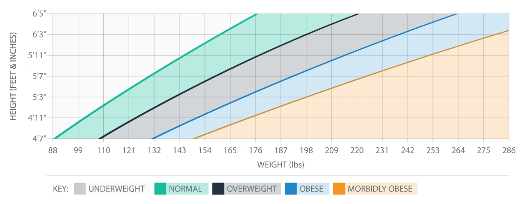 BMI chart showing underweight, healthy, overweight and obese ranges