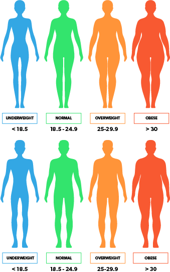 BMI categories chart