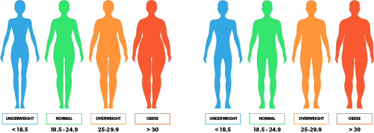BMI categories chart