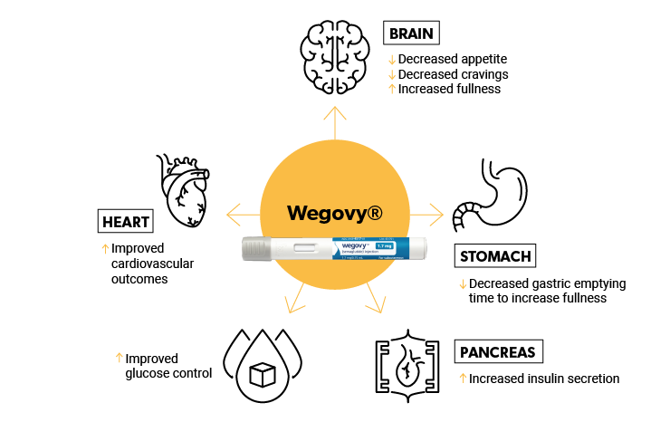 How Wegovy works