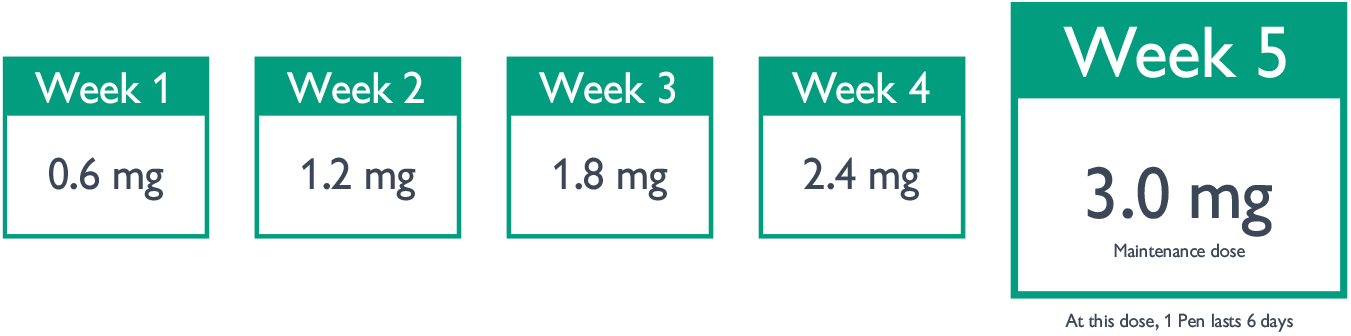 Saxenda dose dose-escalation period
